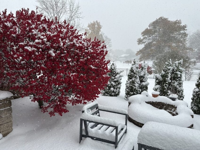 POLITICS: The Chicago Way w/John Kass: Winter returns on a