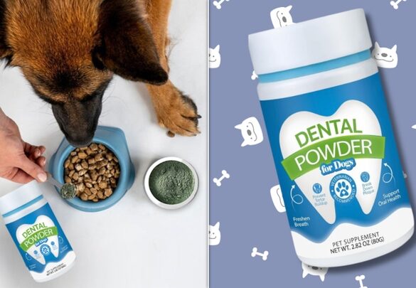 This dental powder is wildly discounted right now!