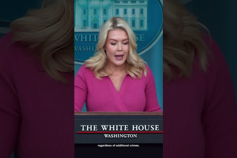 Americans overwhelmingly support President Trump's deportation efforts 🔥