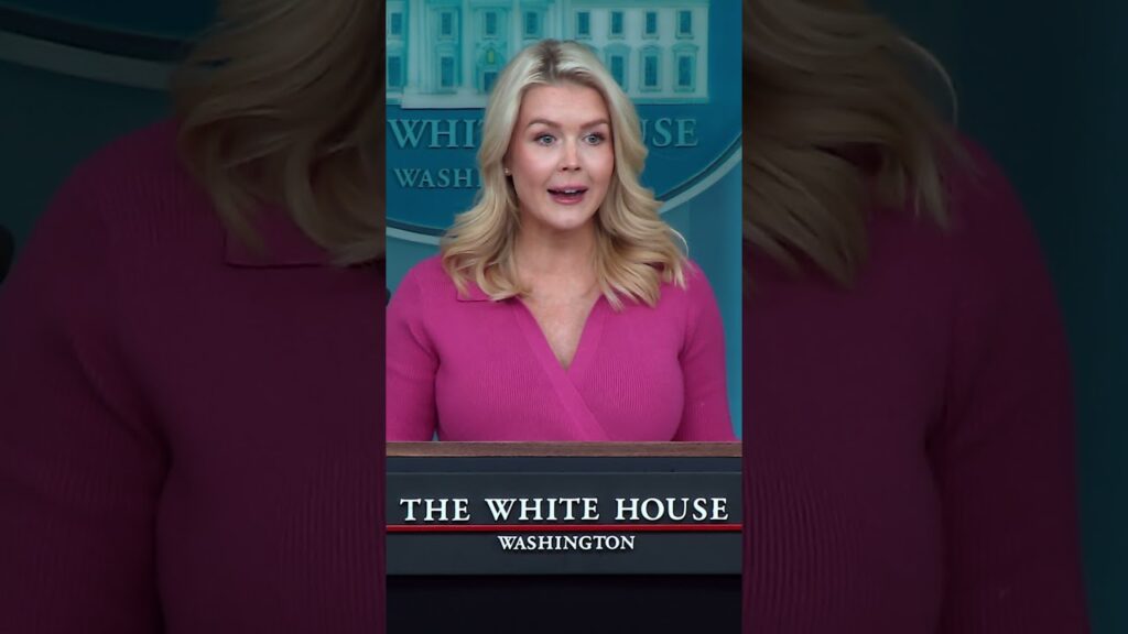 Voter ID. Proof of citizenship.