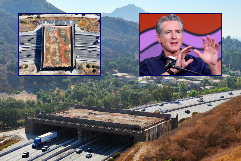 $114M Wildlife Crossing faces budget overruns and delay to late 2026 – One America News Network