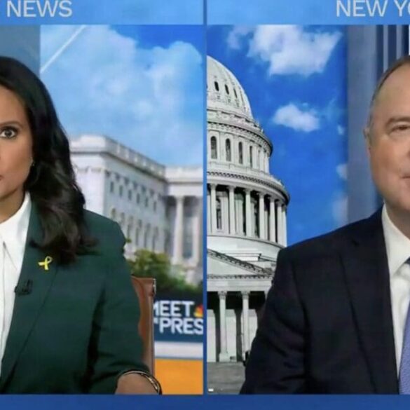 “MSM” Turning On Democrats, First CNN and Now NBC’s Kristen Welker Too! * 100PercentFedUp.com * by Noah