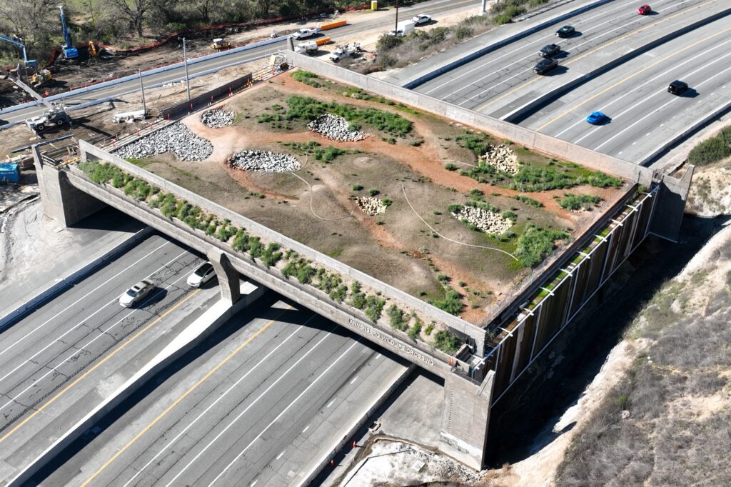 POLITICS: California's unfinished wildlife 'bridge to nowhere'