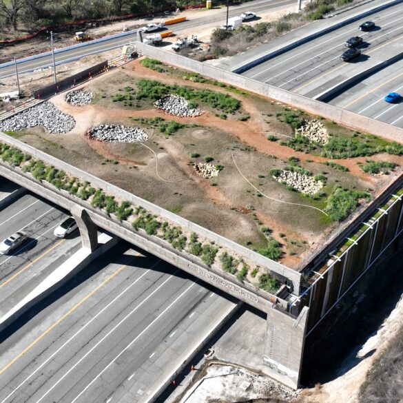 POLITICS: California's unfinished wildlife 'bridge to nowhere'