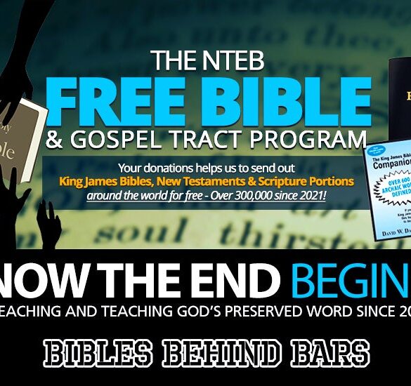 nteb-free-king-james-bible-program-750-550