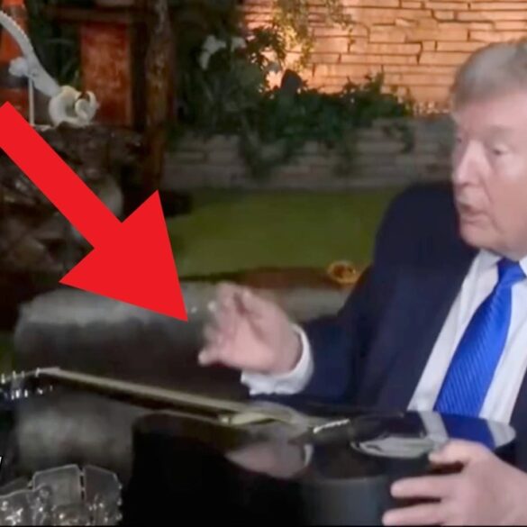 TRUMP VISITS GRACELAND Does the Most UNBELIEVABLE Thing to Elvis' Guitar!