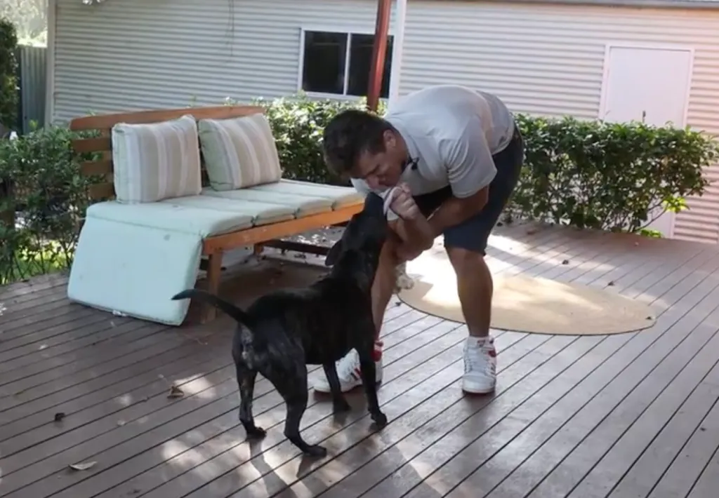 A man playing with his dog on a wooden deck.