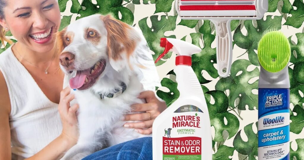 Travel & Lifestyle: Best Pet Cleaning Products For Hair, Odor