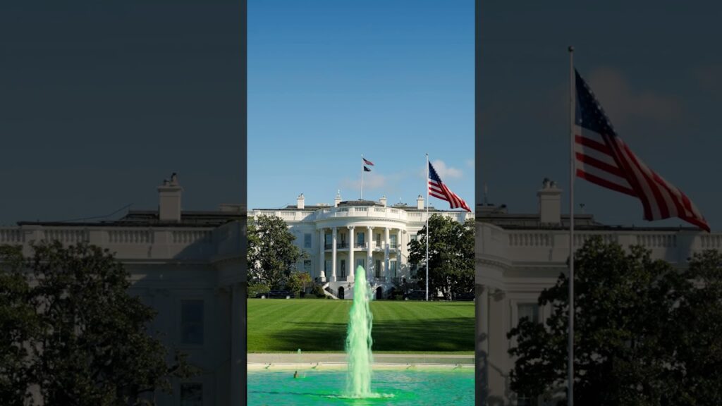 Saint Patrick’s Day 2026 🍀