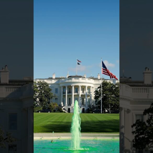 Saint Patrick’s Day 2026 🍀